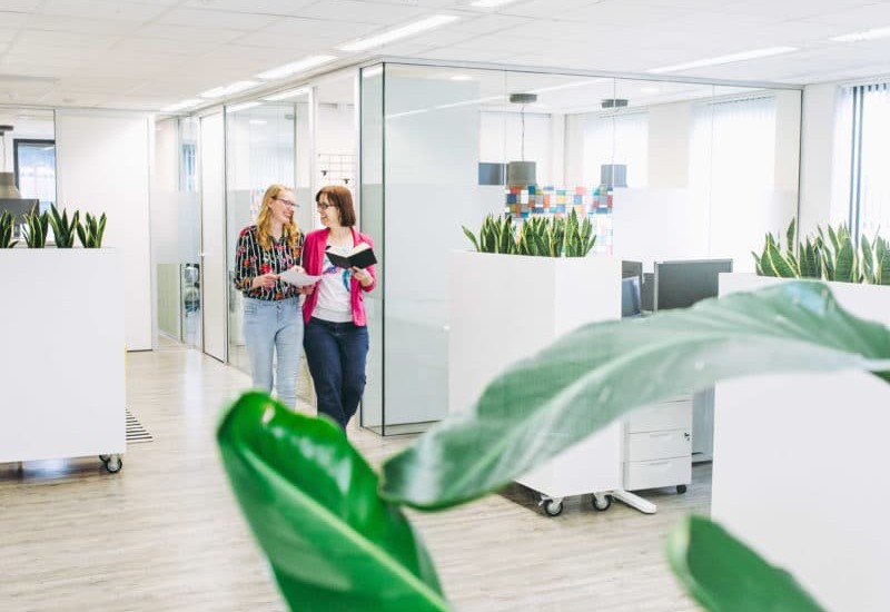 Ontwikkeling website Zorgfocuz, Enneus en Lexnova