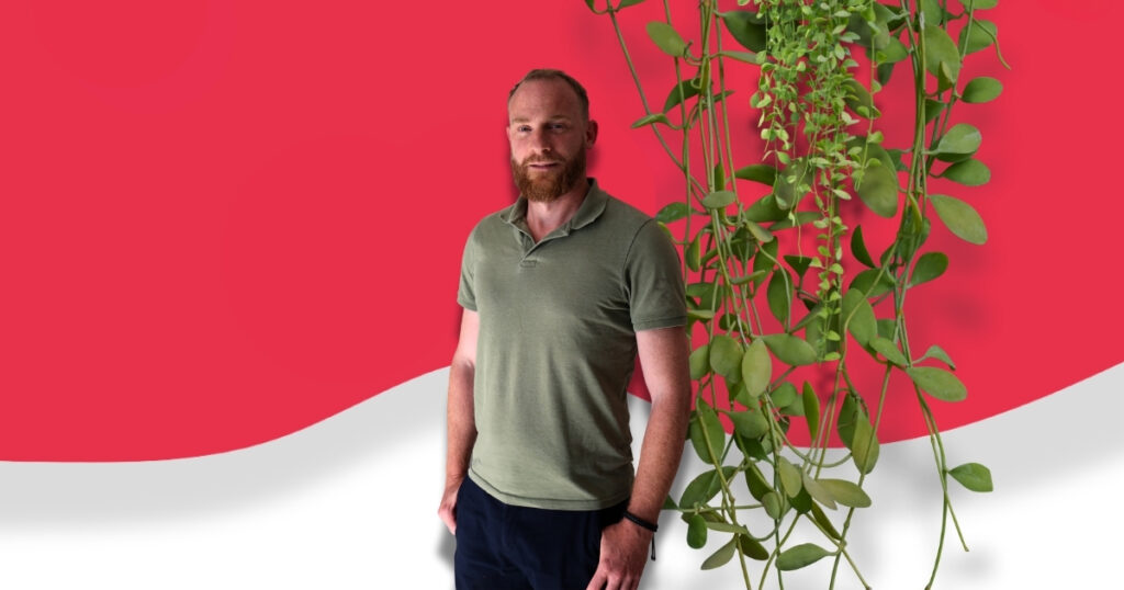 wermedia-blog-programmeur-vormgever-harm