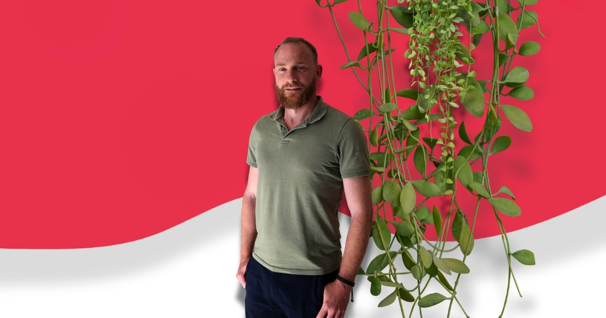 wermedia-blog-programmeur-vormgever-harm