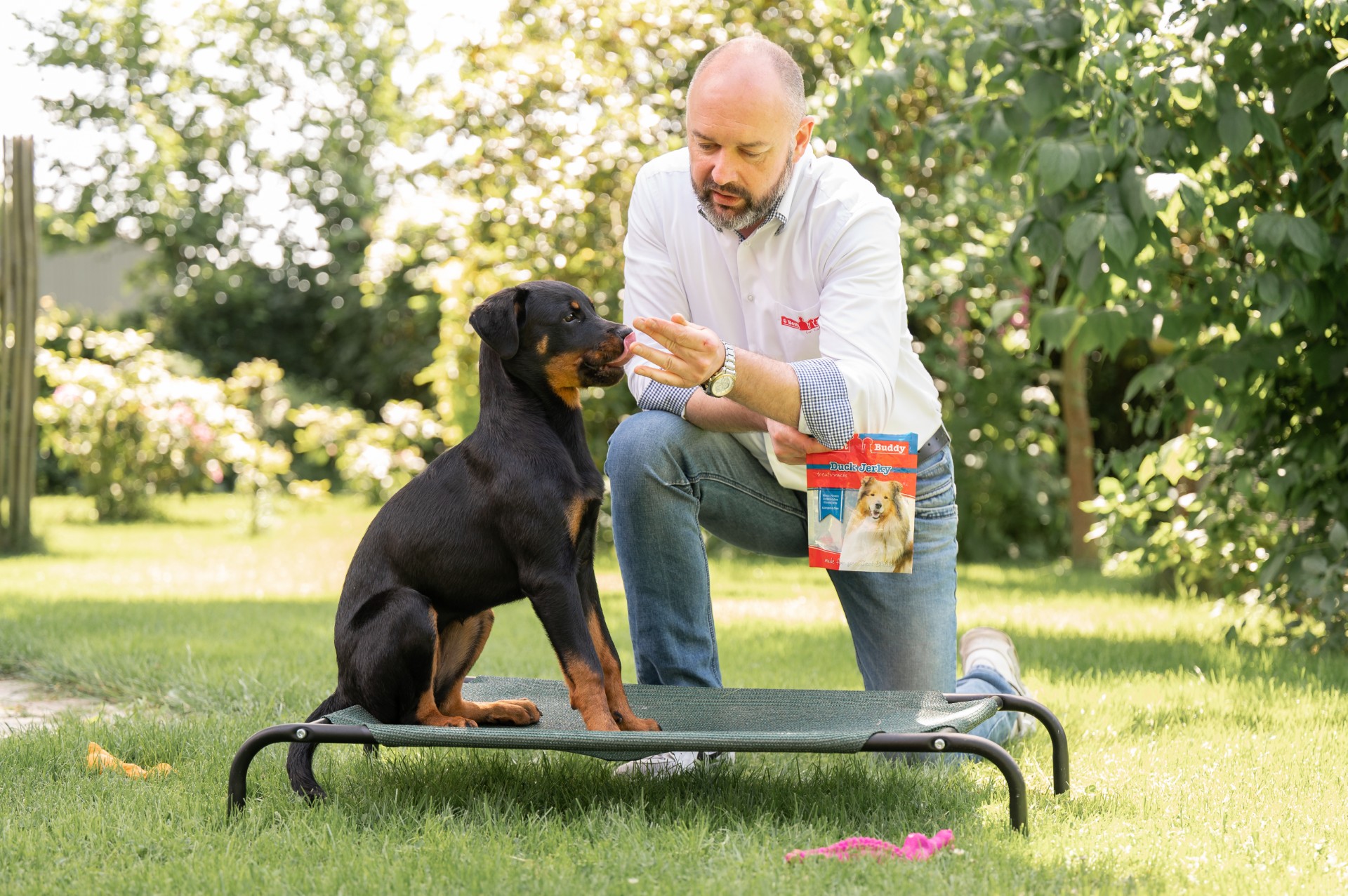 Best-Buddy-Pets-Case-1
